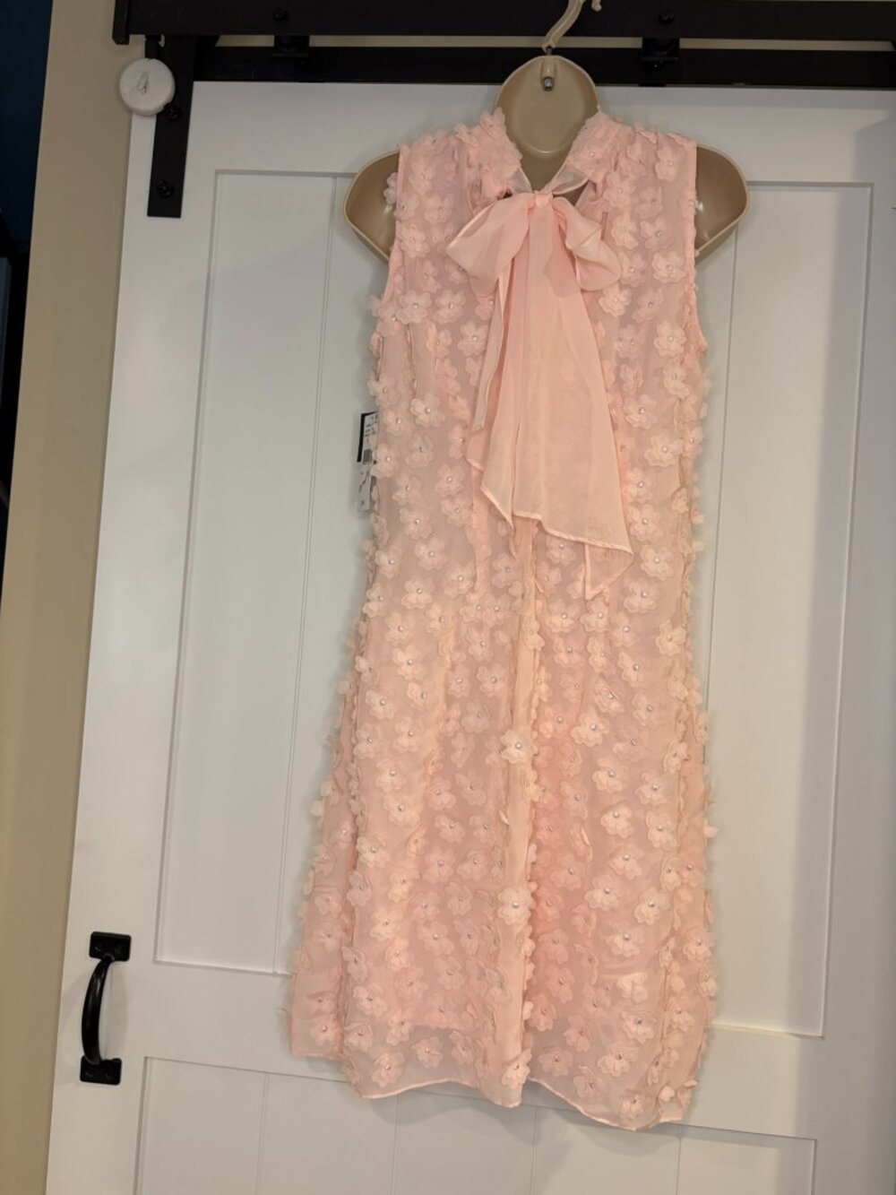 NWT Isabel & Nina 3D Flower Mock Neck Sleeveless Dress‎ size M, Blush - Picture 2 of 11